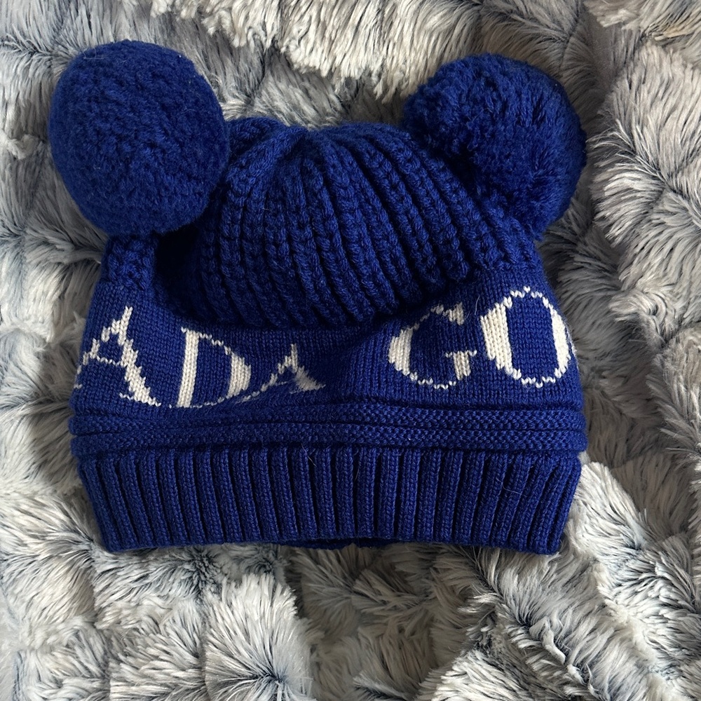 Blue Knit Beanie with Pom Poms